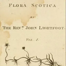 Portrait of John Lightfoot