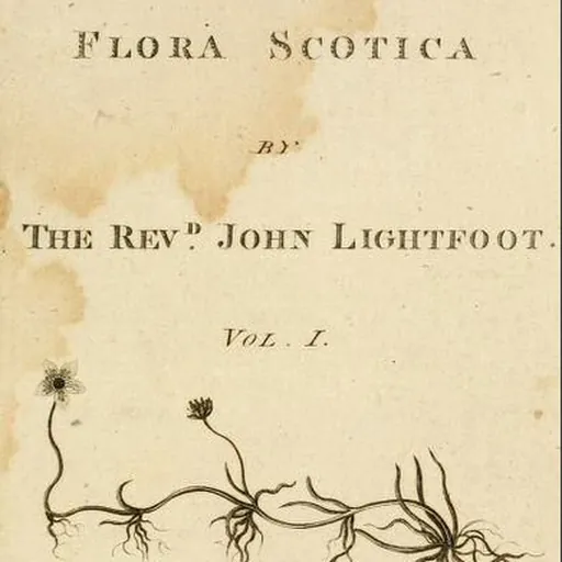 Portrait of John Lightfoot