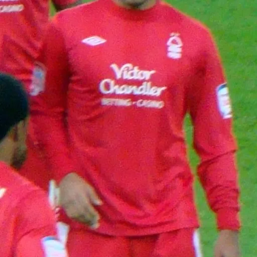 Portrait of Lewis McGugan