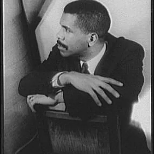 Portrait of William Melvin Kelley
