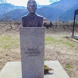 Portrait of Vidoe Podgorec