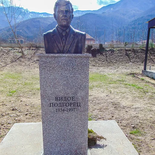 Portrait of Vidoe Podgorec