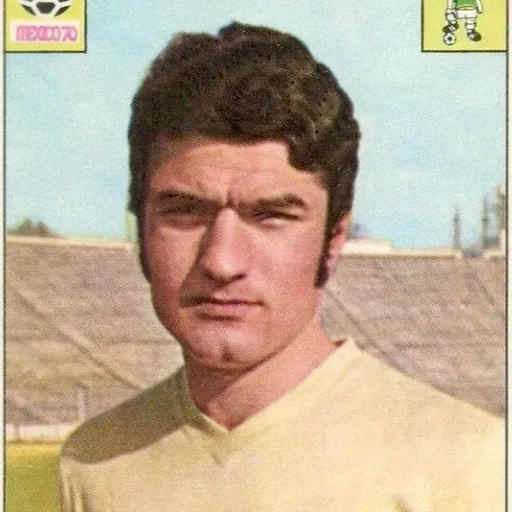 Portrait of Lajos Sătmăreanu