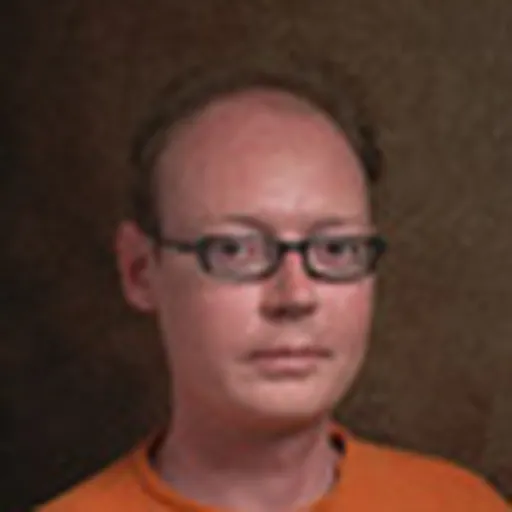Portrait of Laurent Itti