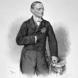 Portrait of Count Johann Bernhard von Rechberg und Rothenlöwen