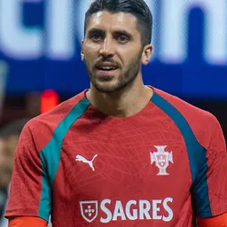 Portrait of Rui Silva