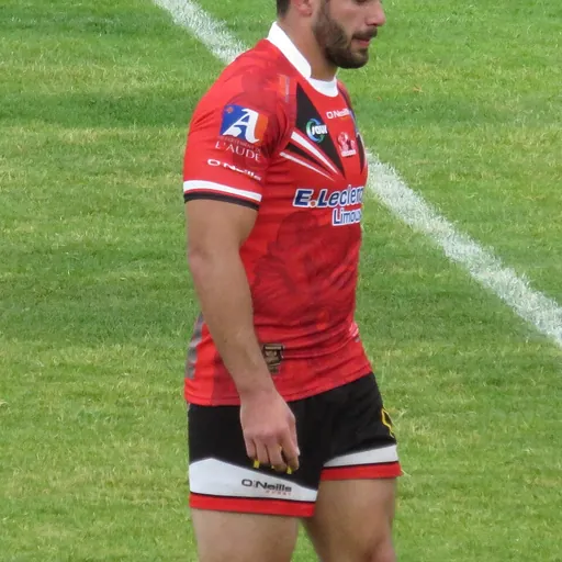 Portrait of Maxime Hérold