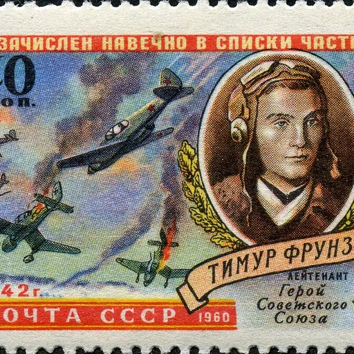 Portrait of Timur Frunze