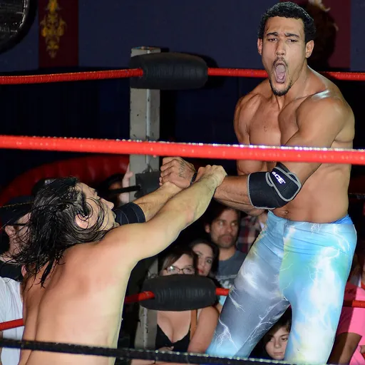 Portrait of AR Fox
