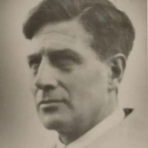 Portrait of Bernardus IJzerdraat