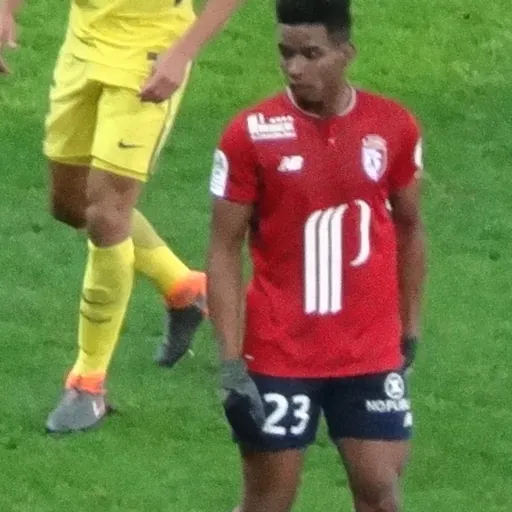 Portrait of Thiago Mendes