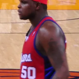 Portrait of Zach Randolph