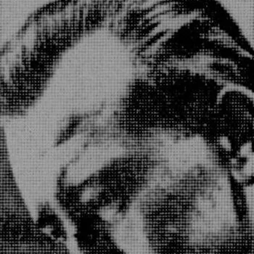 Portrait of Karel Husa