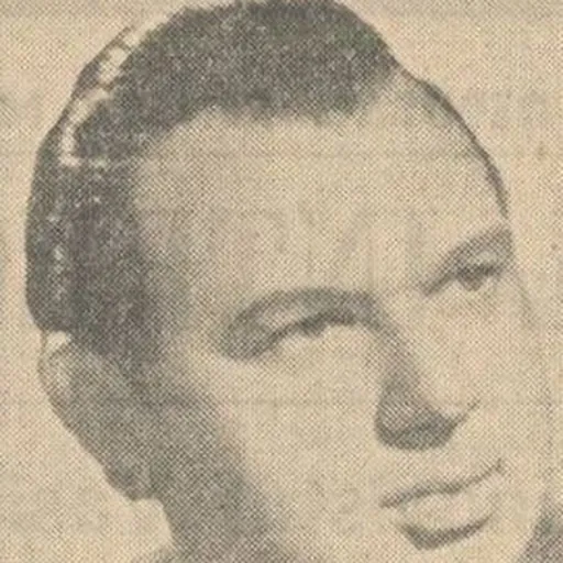 Portrait of Silviu Brucan