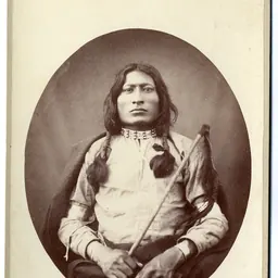 Portrait of One Bull