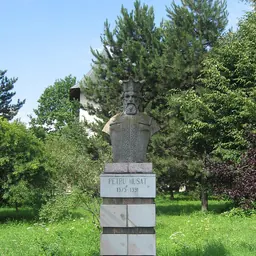 Portrait of Petru II of Moldavia