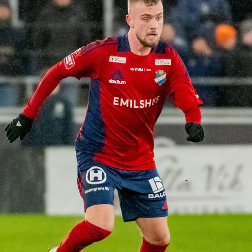 Portrait of Albin Mörfelt