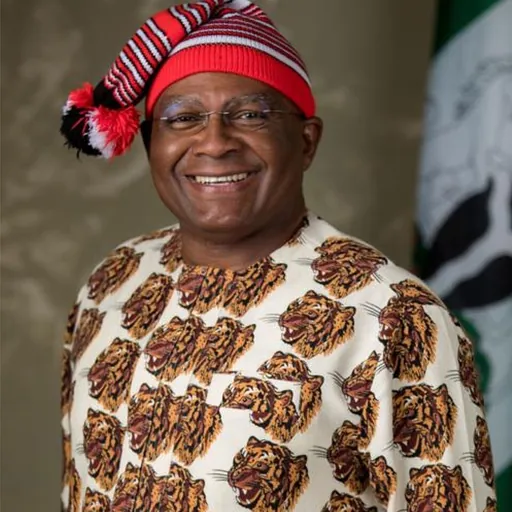 Portrait of Chimaroke Nnamani