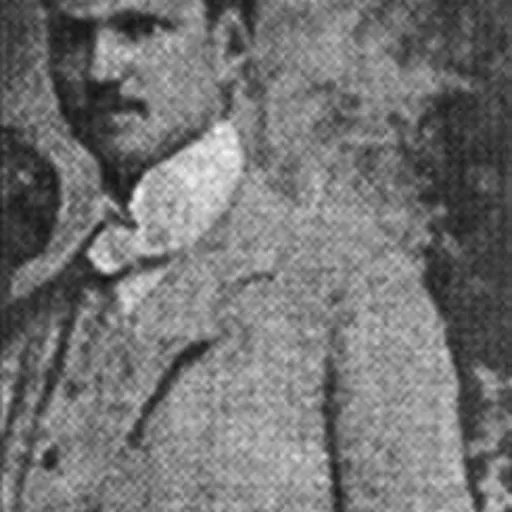 Portrait of Ljuba Jezdić
