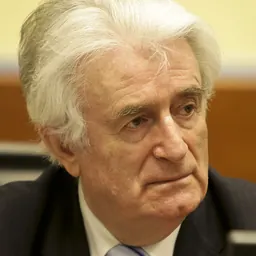 Portrait of Radovan Karadžić