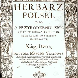 Portrait of Marcin of Urzędów