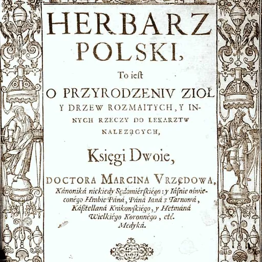 Portrait of Marcin of Urzędów