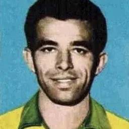 Portrait of Vavá