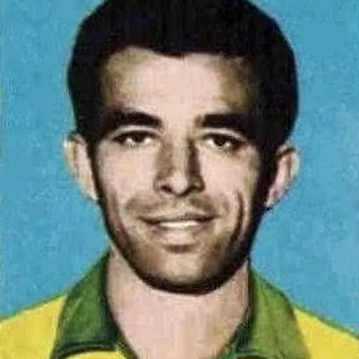 Portrait of Vavá
