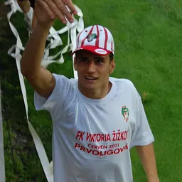 Portrait of Miroslav Marković
