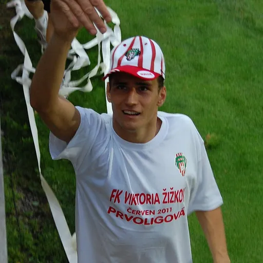 Portrait of Miroslav Marković