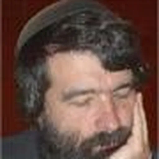 Portrait of Leonid Yudasin