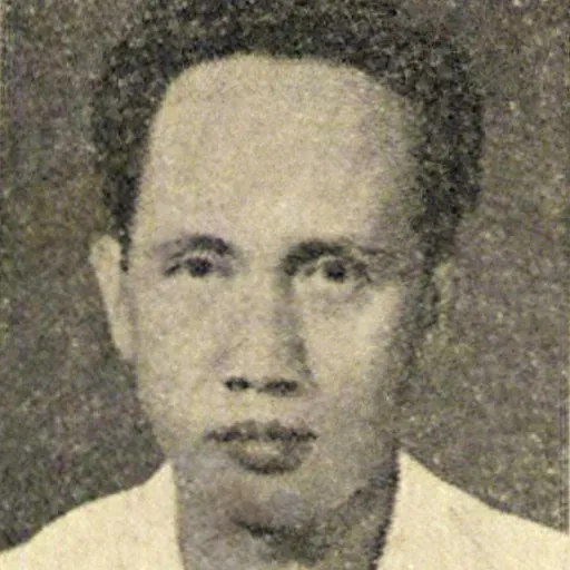 Portrait of Hardi