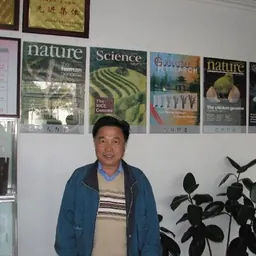 Portrait of Yang Huanming