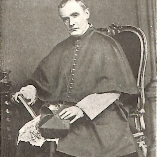Portrait of Johann Baptist Franzelin