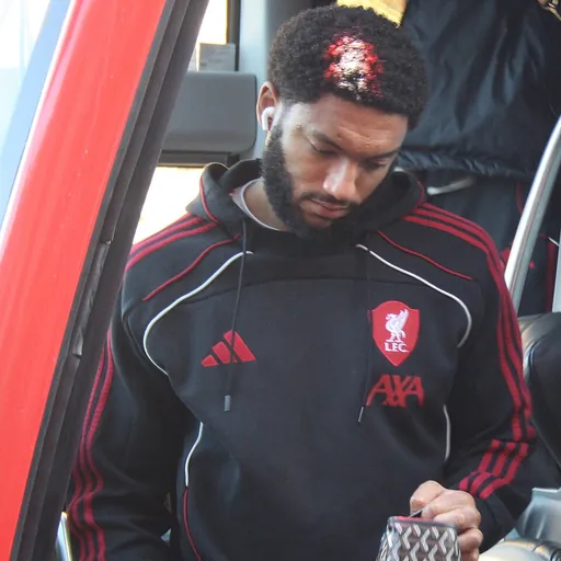 Portrait of Joe Gomez