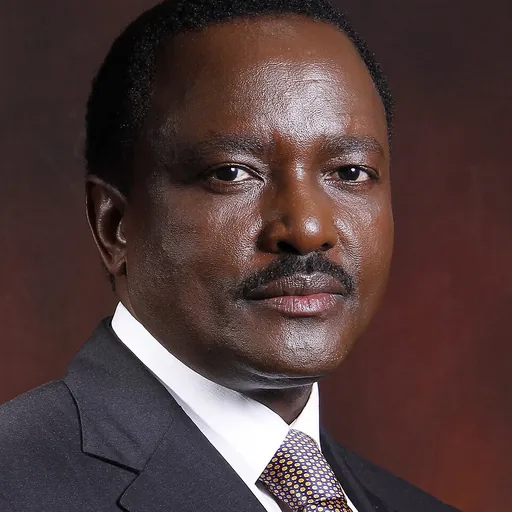 Portrait of Kalonzo Musyoka