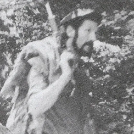Portrait of Xabier Zumalde