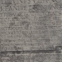 Portrait of Lucius Funisulanus Vettonianus