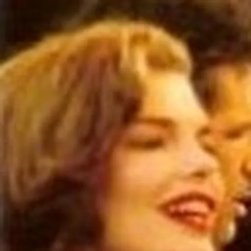 Portrait of Jeanne Tripplehorn