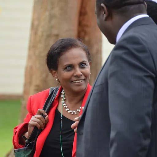 Portrait of Segenet Kelemu
