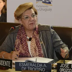 Portrait of Esmeralda Arosemena Troitiño