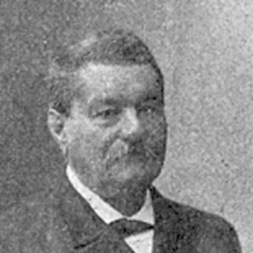 Portrait of Marius Soustre