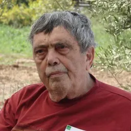 Portrait of Micha Shagrir