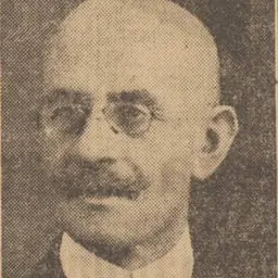 Portrait of Nicolae Alevra