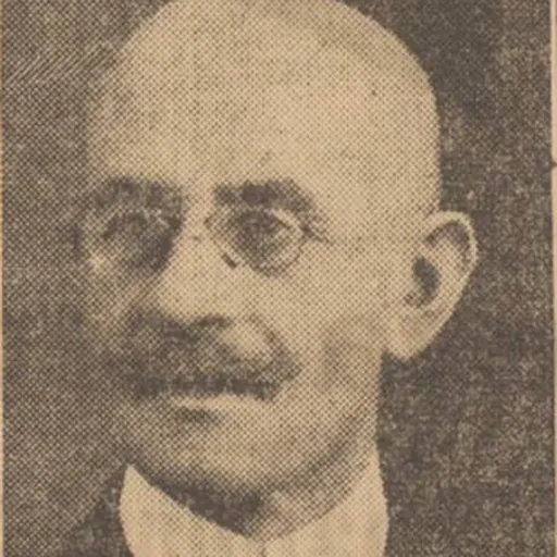Portrait of Nicolae Alevra