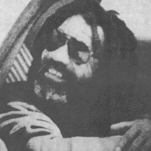 Portrait of John Africa