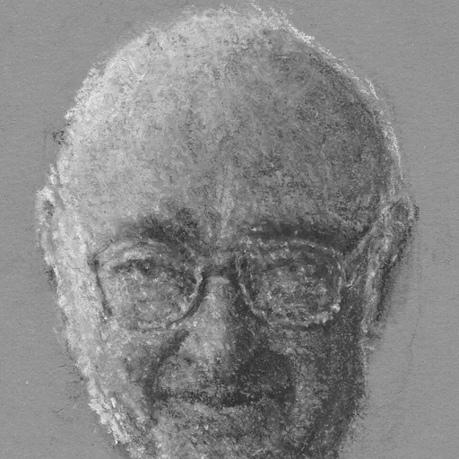 Portrait of François Doumenge