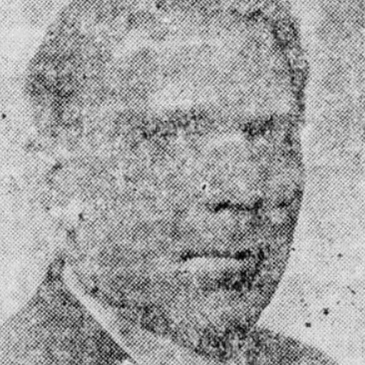 Portrait of William Kavanaugh Oldham