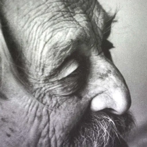 Portrait of Károly Kós