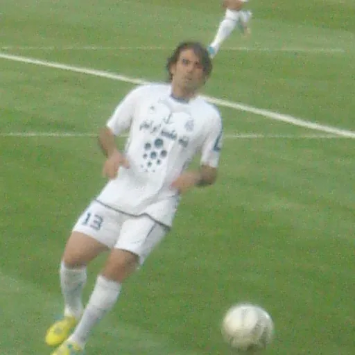 Portrait of Javad Shirzad